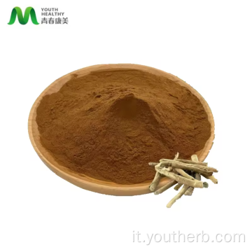 10% withanolides Ashwagandha radice di estratto in polvere